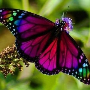 Meet your Posher, Jean